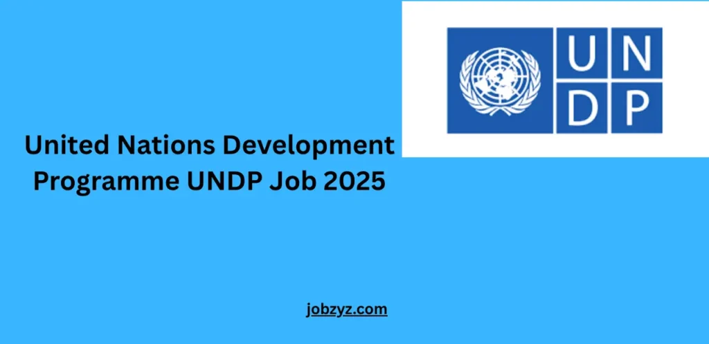 United Nations Development Programme UNDP Job 2025